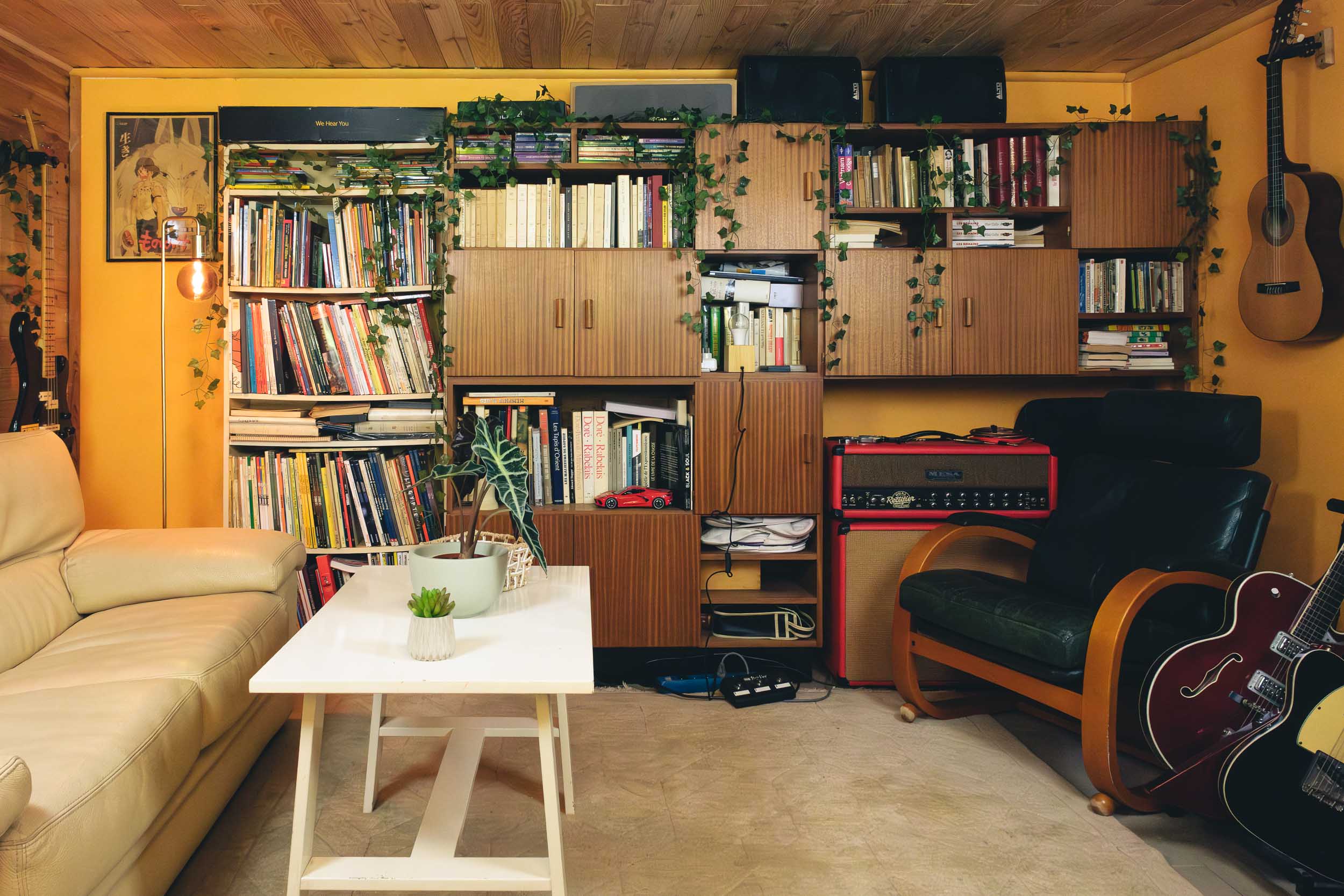 library with books, plants and amp